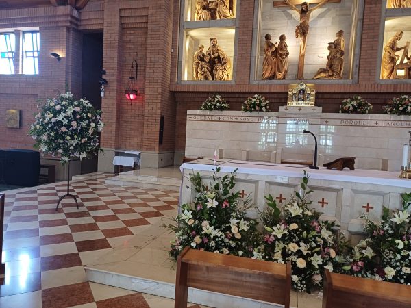 Decoracion San Francisco de Sales pack 3233